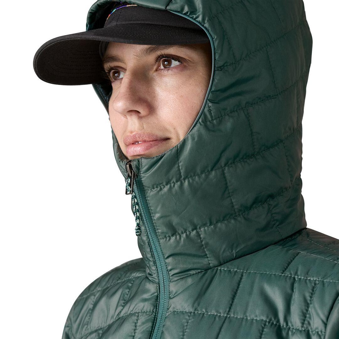 Patagonia Nano Puff® Fitz Roy Trout Insulated Hoody