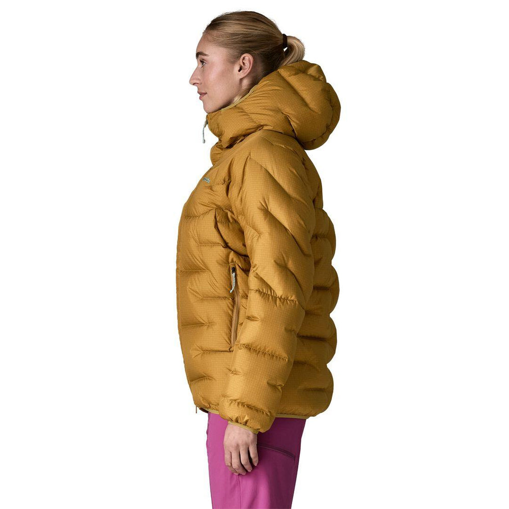 Patagonia Durable Down Parka