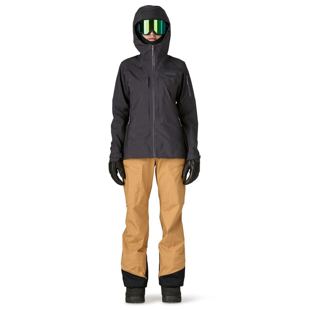 Patagonia PowSlayer Ski/Snowboard Jacket