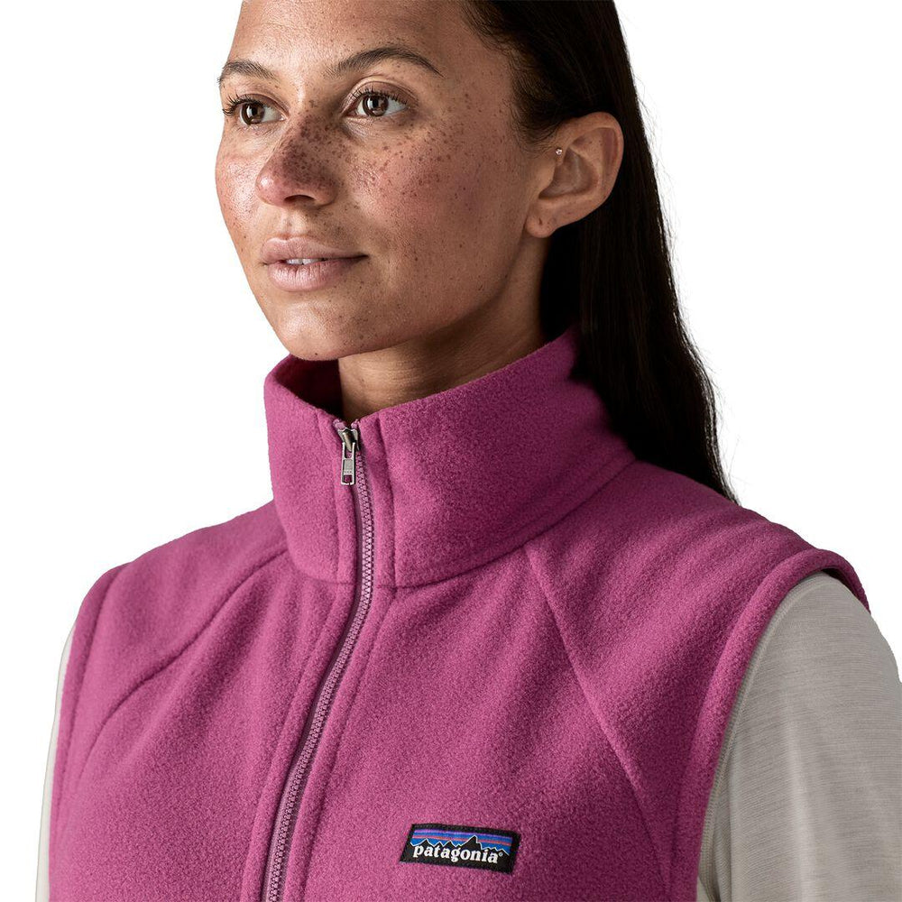 Patagonia Classic Microdini Fleece Vest