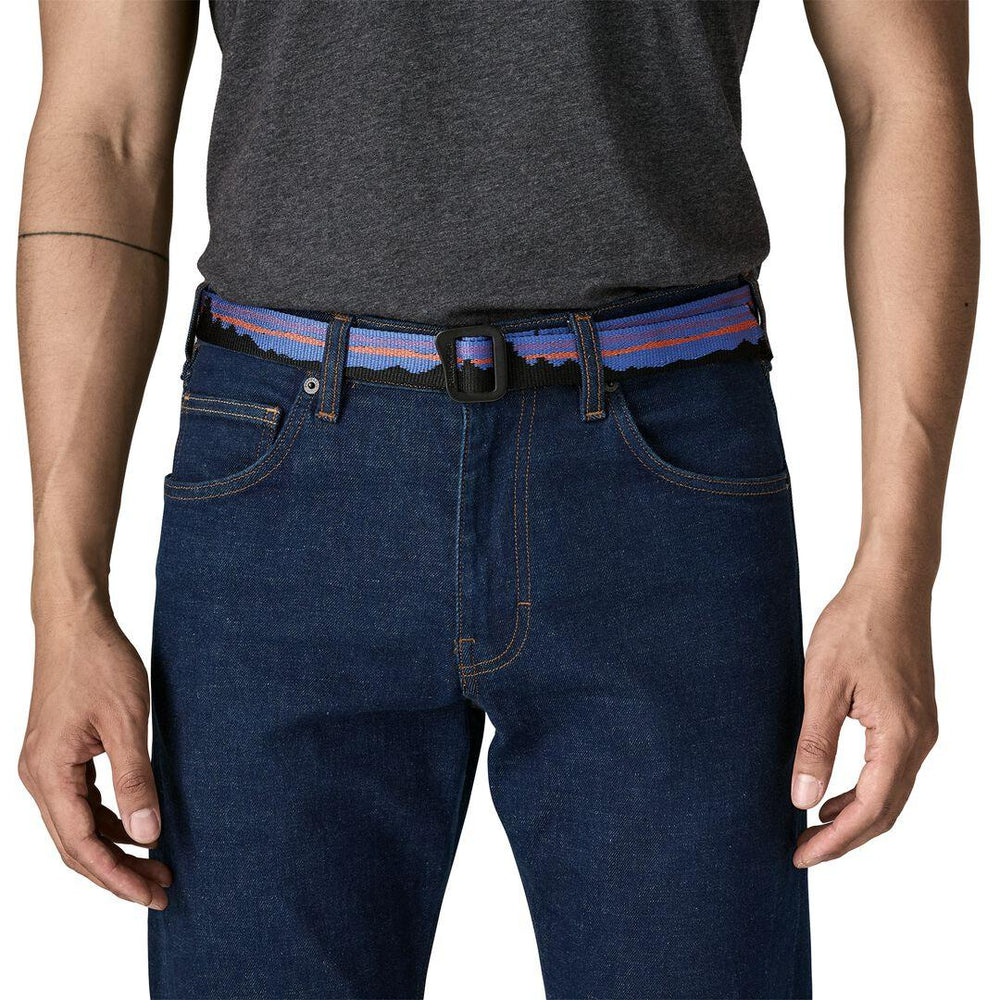 Patagonia Friction Web Belt