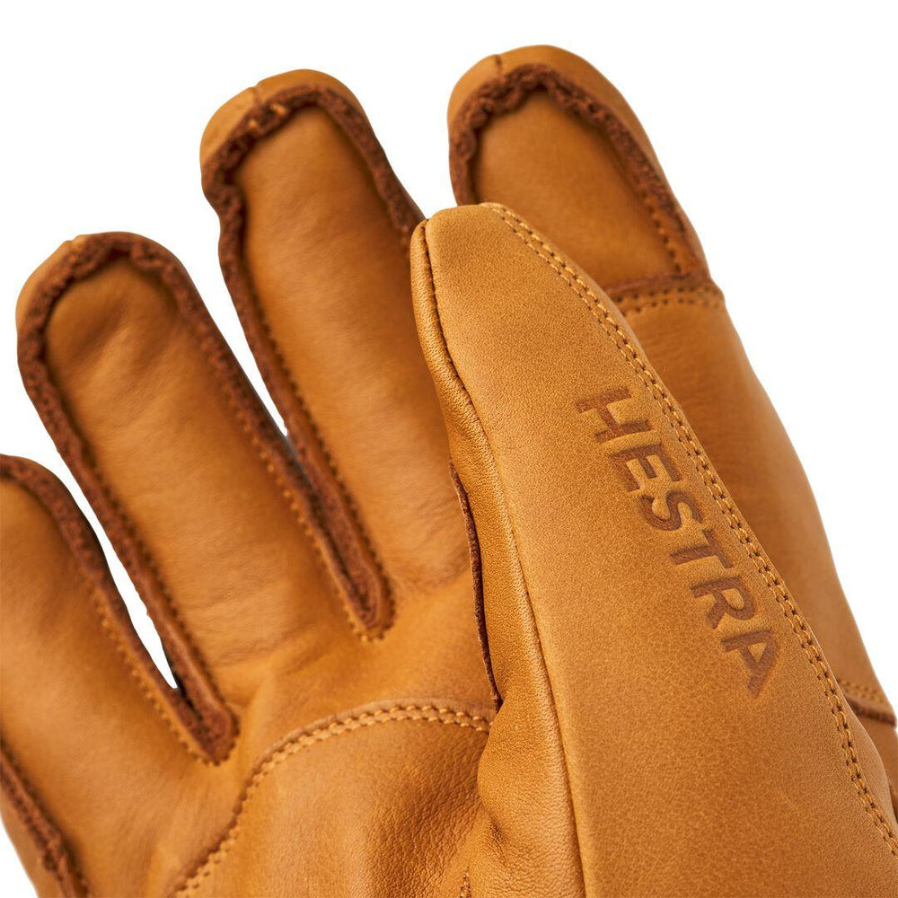 Patagonia Hestra Fall Line Glove