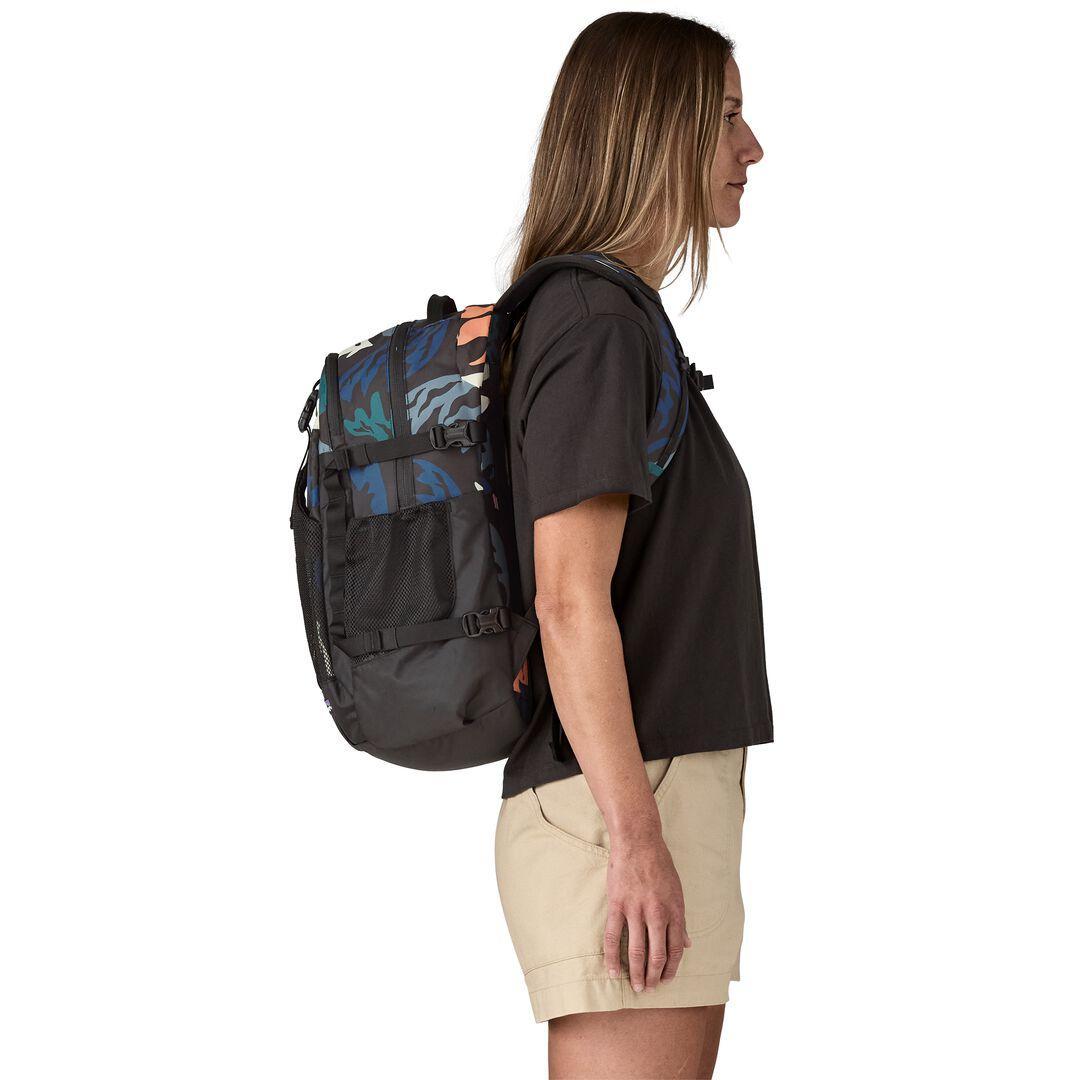 Patagonia Refugio Daypack 30L