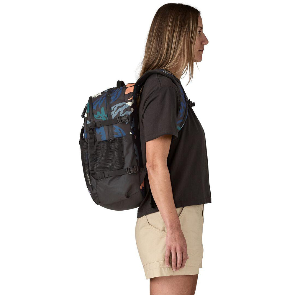 Patagonia Refugio Daypack 30L