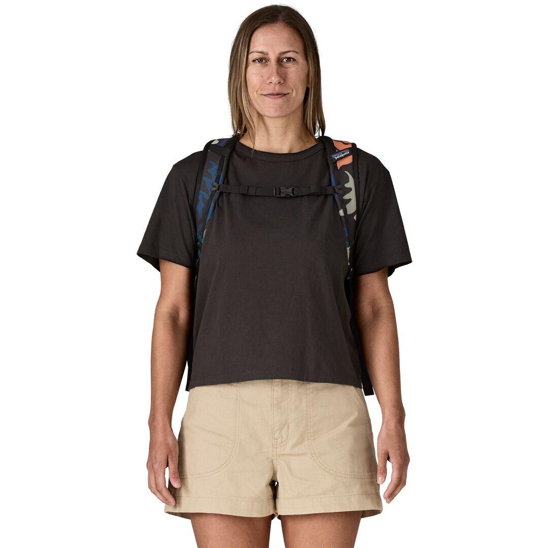Patagonia Refugio Daypack 30L