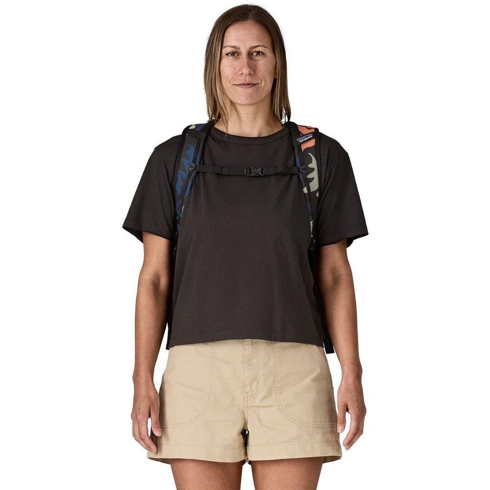 Patagonia Refugio Daypack 30L