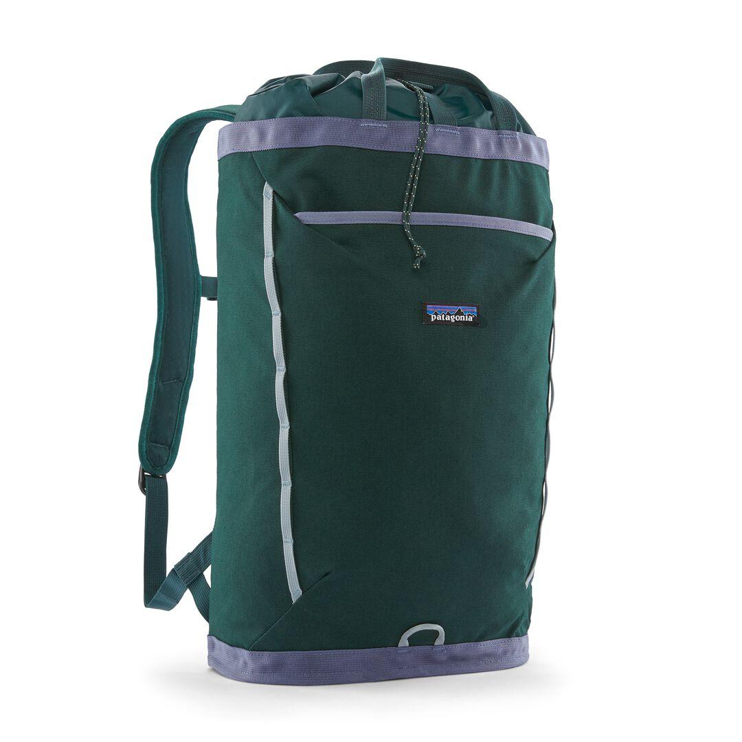 Patagonia Fieldsmith Linked Backpack 24L
